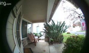 Giving Holiday Happiness to Thankful Delivery Drivers