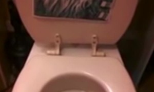 Toilet Makes Strange yet Very Familiar Sound