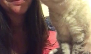 Crazy Eyed Kitty Wants Kisses
