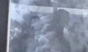 Tourists flee deadly volcano in New Zealand