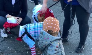 Pretty Pitty Girls Play Dress-Up