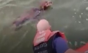 Dog found 200 yards offshore gets saved by US Coast Guard