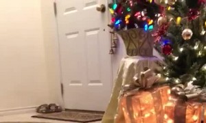 Corgi Christmas Tree