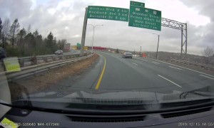Seagull Flies Away After Slamming into Car