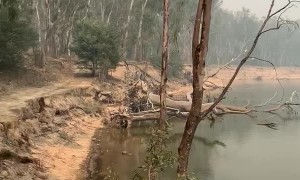 Smoke Over the Murray River