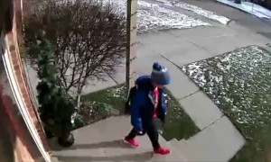 Stranger Fixes Fallen Christmas Tree