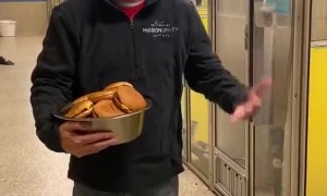 Shelter Dogs Given Cheeseburgers for Dinner