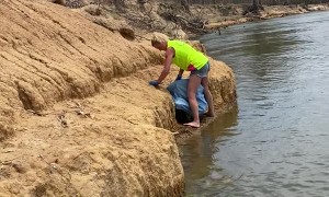 Rescuing a Koala from the Banks of the Murray