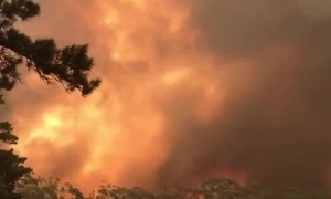 Massive Australian bushfire caught on camera