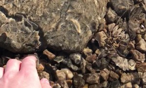 Mesmerising Moving of Ice Sheet Above Still Water