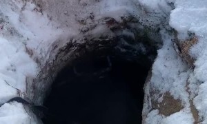 Samoyed Rescued from a Deep Hole