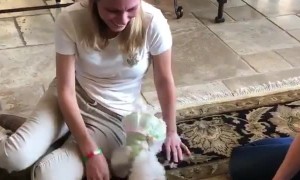 Santa's Doggy Delivery Delights Girl