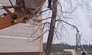Construction Workers Rescue a Cat