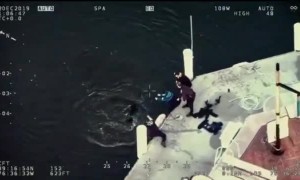 Baltimore Police rescue dog from harbor