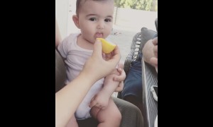 Baby girl surprisingly loves tasting lemons