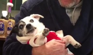 Dog Doesn't Like when Grandpa Touches her Paws