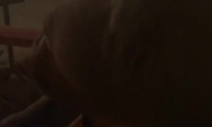 Polar Bear Comes for a Christmas Visit