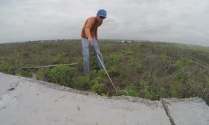 Massive Rattlesnake with Venomous Bite