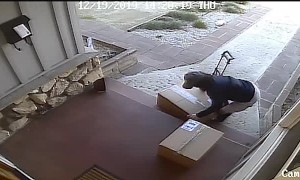 Northridge Porch Pirates
