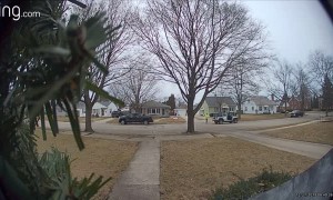 Person Trips After Tossing Package