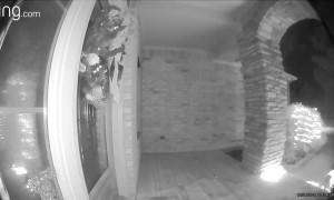 Camera Glitch or Alien Abduction?