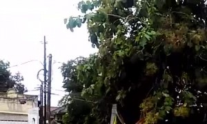 Cars Washed Away in Surprise Flooding