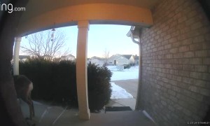 Curious Deer Rings Family's Doorbell