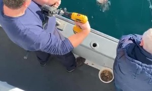 Clever Way to Reel in a Catch