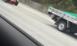 Even Adults Get Excited When They See Elmo