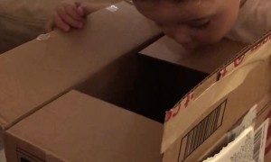 Kid Unimpressed With Christmas Gift