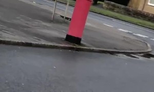 Worker Receives Scare for Christmas