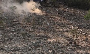 Buggy Rolls Over Backwards