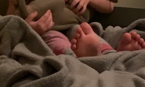 Tired Puppy Rocked to Sleep