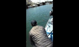 Heart-melting moment an otter pup is reunited with its mom!