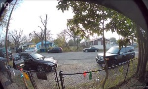 Misty Makes Her Way Back Home