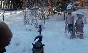 Dog Has a Showdown with the Shovel