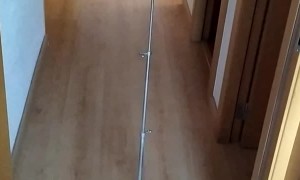 Robot Vacuum Carries Conductor's Stand
