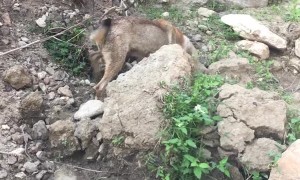 Lường doan on TikTok - khong hiểu kiểu léo gì