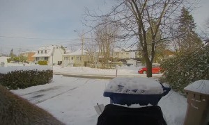 Squirrel Rings Doorbell while Sniffing for Scraps