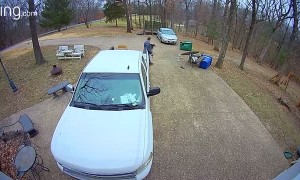 Excited Doggo Wrecks Lawn Table