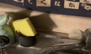 Seemingly Ordinary Glass has a Special Feature