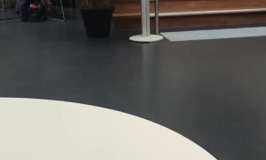 Architectural Model Get Crushed