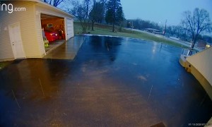 Woman's Surprise Sip on Icy Driveway