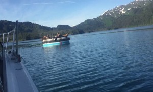 Sea Lion Pups Waking Up