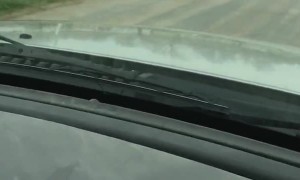 Mail Carrier is a Dog Magnet