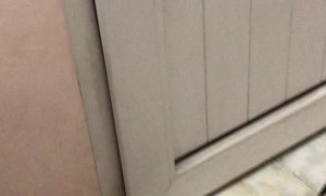 Playful Kitty Gets Claws Stuck in Curtains