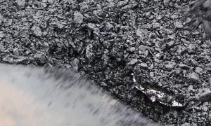 A Different Kind of Street Food