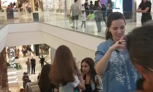 Precious Doggos Require Help up Escalator