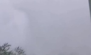 Cyclone Tino Makes Massive Waves