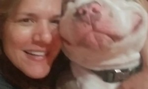 Smiling Doggo Snuggles to Sleep